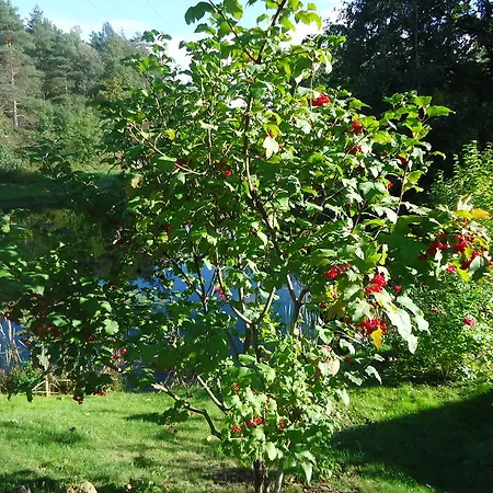 Kwatera prywatna Homestay Roja