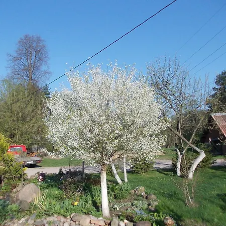 Homestay Roja Wilno