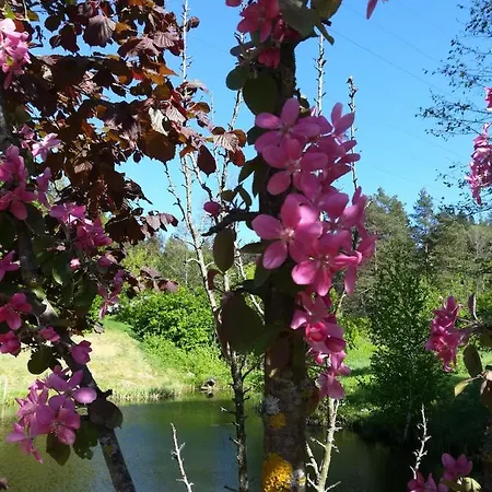 Roja 酒店 维尔纽斯