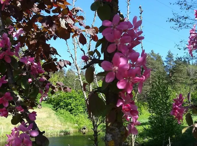 Roja Viešbutis Vilnius
